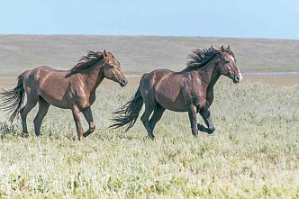 Энциклопедия Ростовской области: М