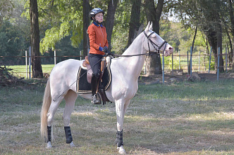 «Ход конем» выходит на прямую