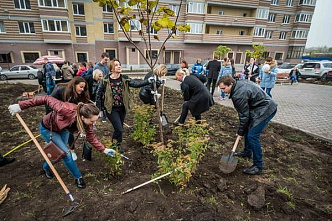 В Ростове-на-Дону определили площадки для Дня древонасаждения