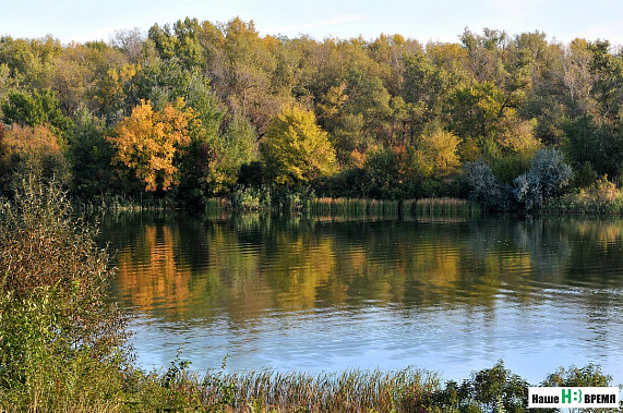 В Ростове температура 21 ноября побила свой столетний рекорд