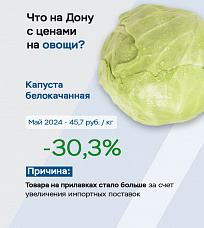 В Отделении по Ростовской области Южного ГУ Банка России назвали причины инфляции в регионе