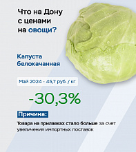 В Отделении по Ростовской области Южного ГУ Банка России назвали причины инфляции в регионе