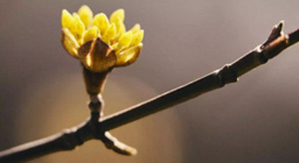 Источник фото: Unsplash.