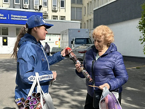   Ростов-на-Дону: к 9 мая ворошиловцам раздали специальные календари