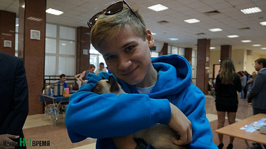 Как кошки-крошки звездами стали