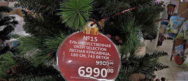 Карли и Клеопатра опередили Деда Мороза...