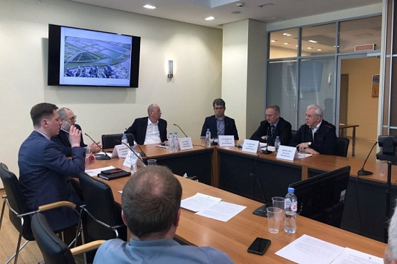 Пилить или не пилить? Как сберечь и укрепить зеленый каркас Ростова