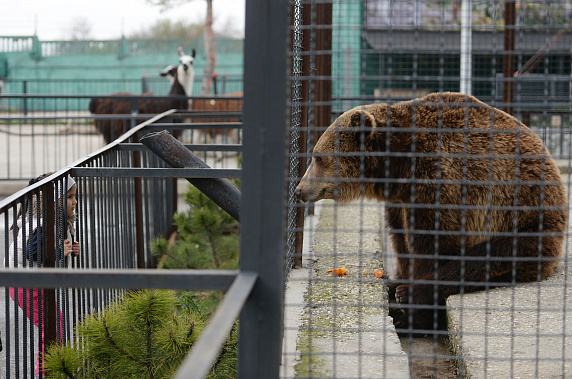 Фото для иллюстрации сайта p.geopainting.com