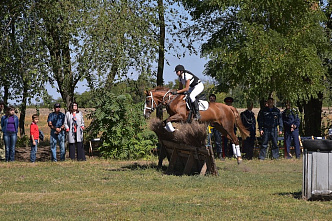 «Ход конем» выходит на прямую