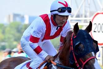 13 09 2026 На ростовском ипподроме прошли первые за несколько лет скачки со зрителями