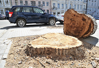 Налогоплательщик желает знать…_21388