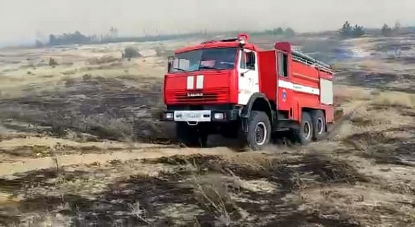 Лесной пожар в Каменском районе охватил уже около 10 гектаров