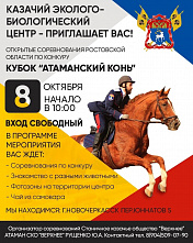 В Новочеркасске проведут турнир по конкуру «Атаманский конь»