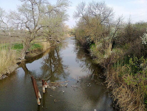 В Ростовской области начали расчистку реки Глубокой