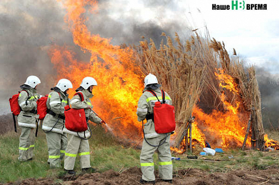 Донская лесоохрана напоминает телефон горячей линии для сообщений об угрозе пожаров