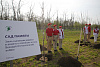 В весенний День древонасаждения на Дону высадили свыше 16 тысяч деревьев