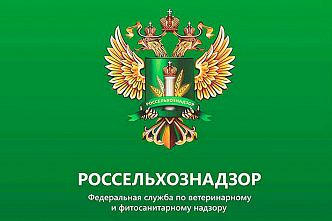 В Орловский дом-интернат для детей поставляли молочный фальсификат