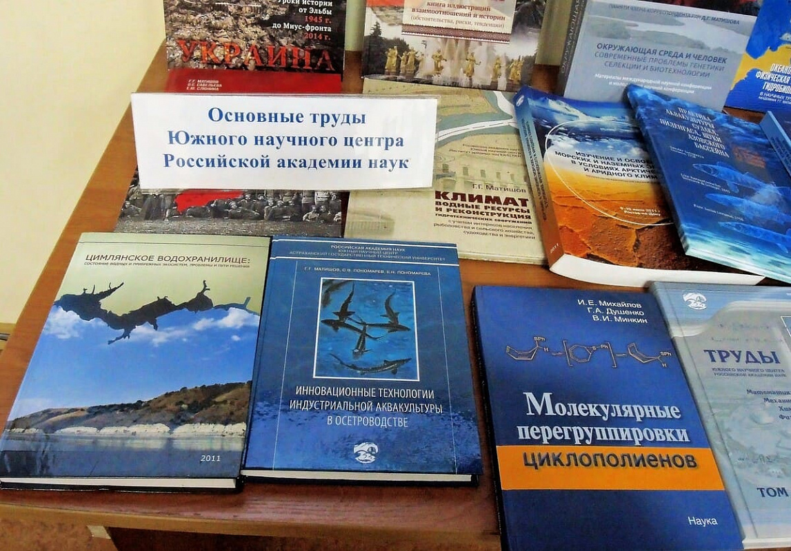 Книги по теме конференции, изданные учеными ЮНЦ РАН.