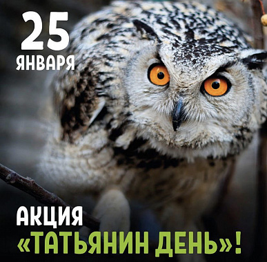 Фото из инстаграм-аккаунта Ростовского зоопарка 